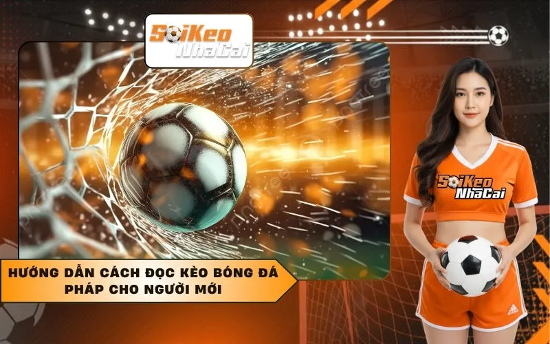 Hướng dẫn cách đọc kèo bóng đá Pháp cho người mới